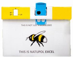 Bumblebees- Natural Pollination