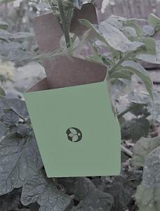 Universal Release Boxes- Pack of 100