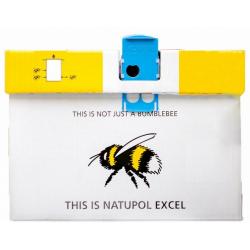 Bumblebees- Natural Pollination