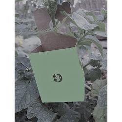 Universal Release Boxes- Pack of 100